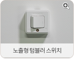 노출형 텀블러 스위치