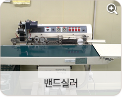 밴드실러