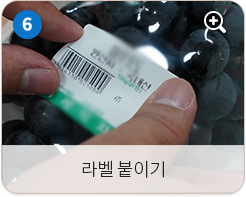 라벨 붙이기