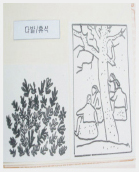 입체 복사된 작품