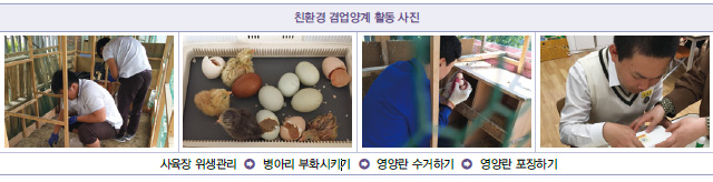 친환경 겸업양계 활동 사진
