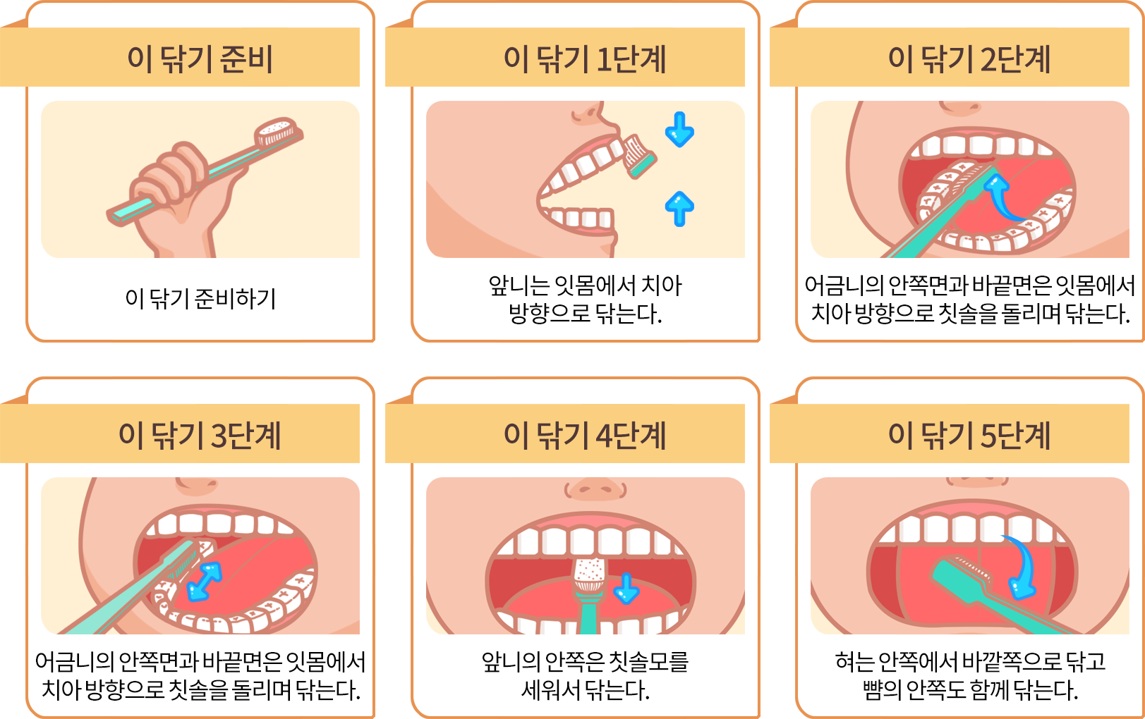 올바른 이닦기 방법