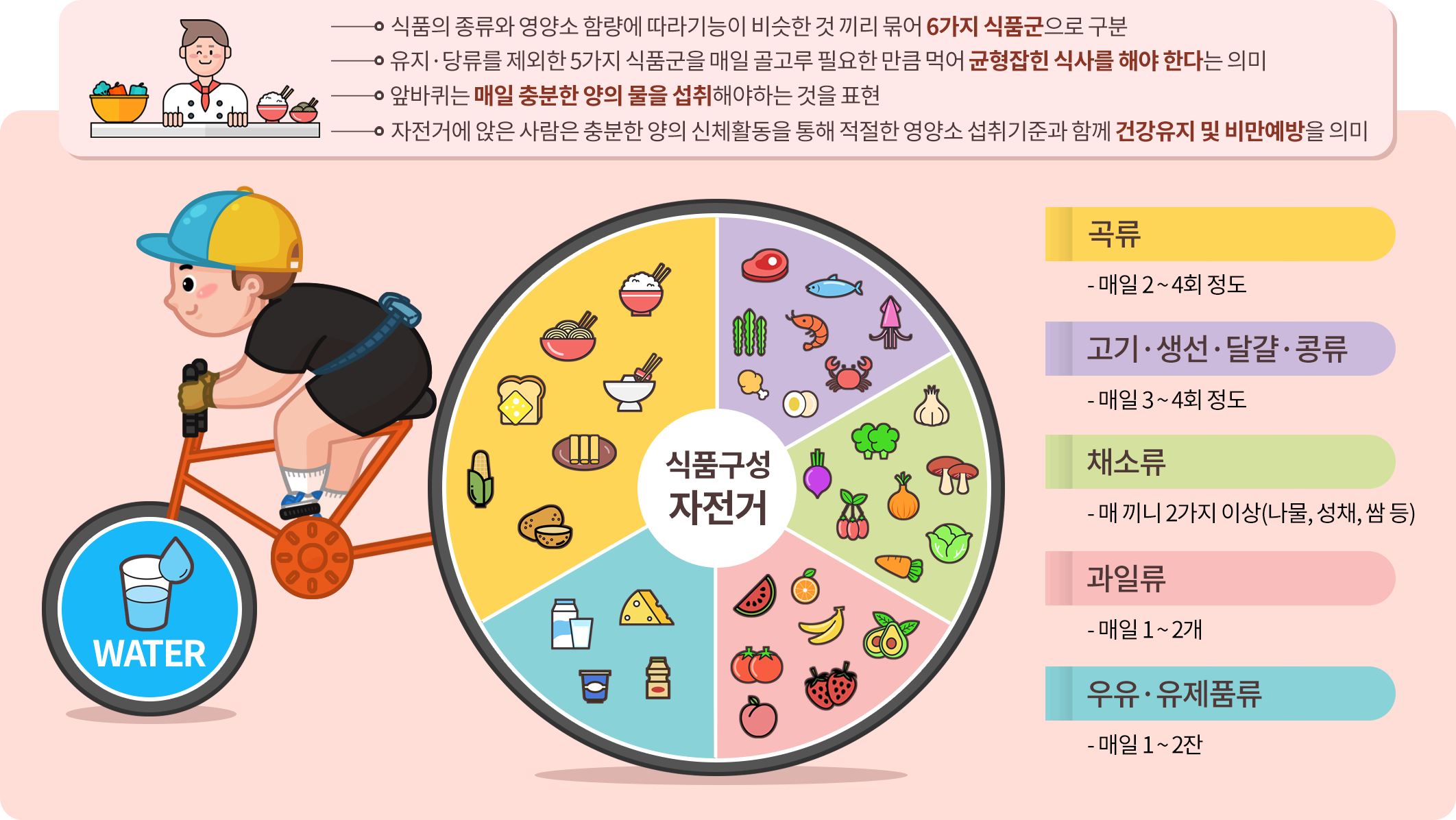 식품구성 자전거