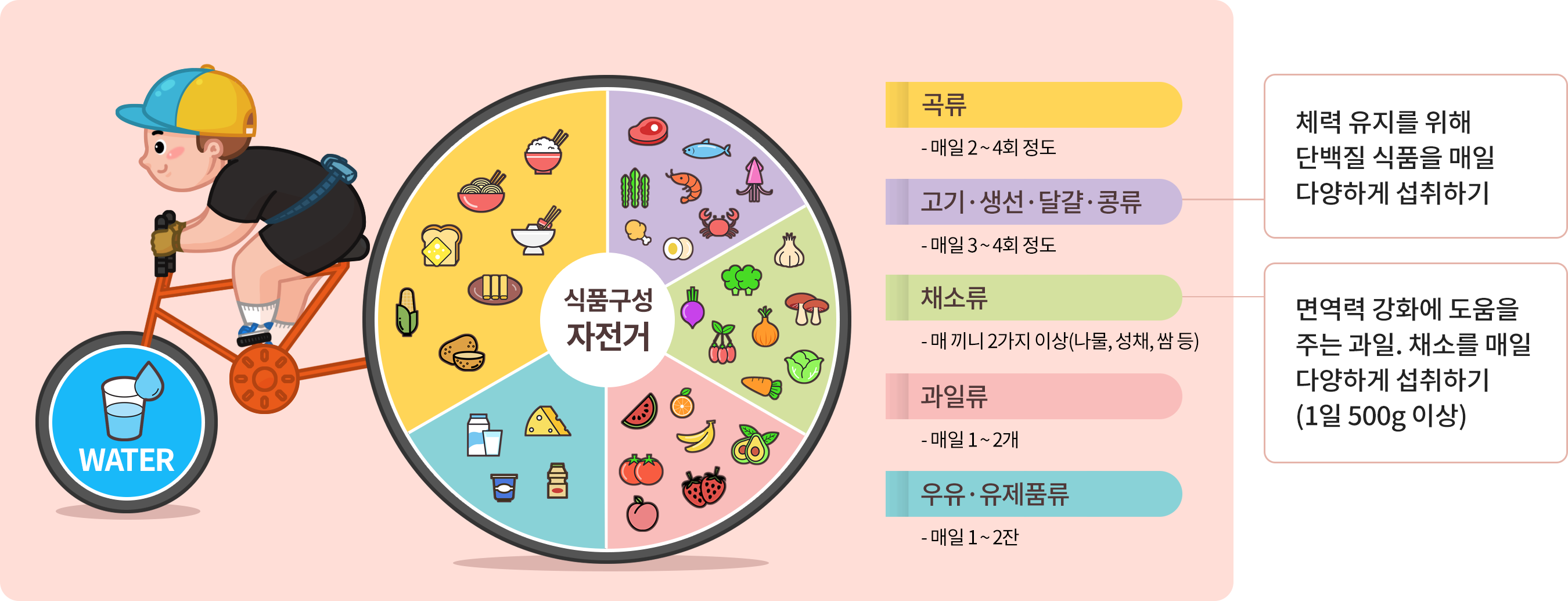 식품구성 자전거