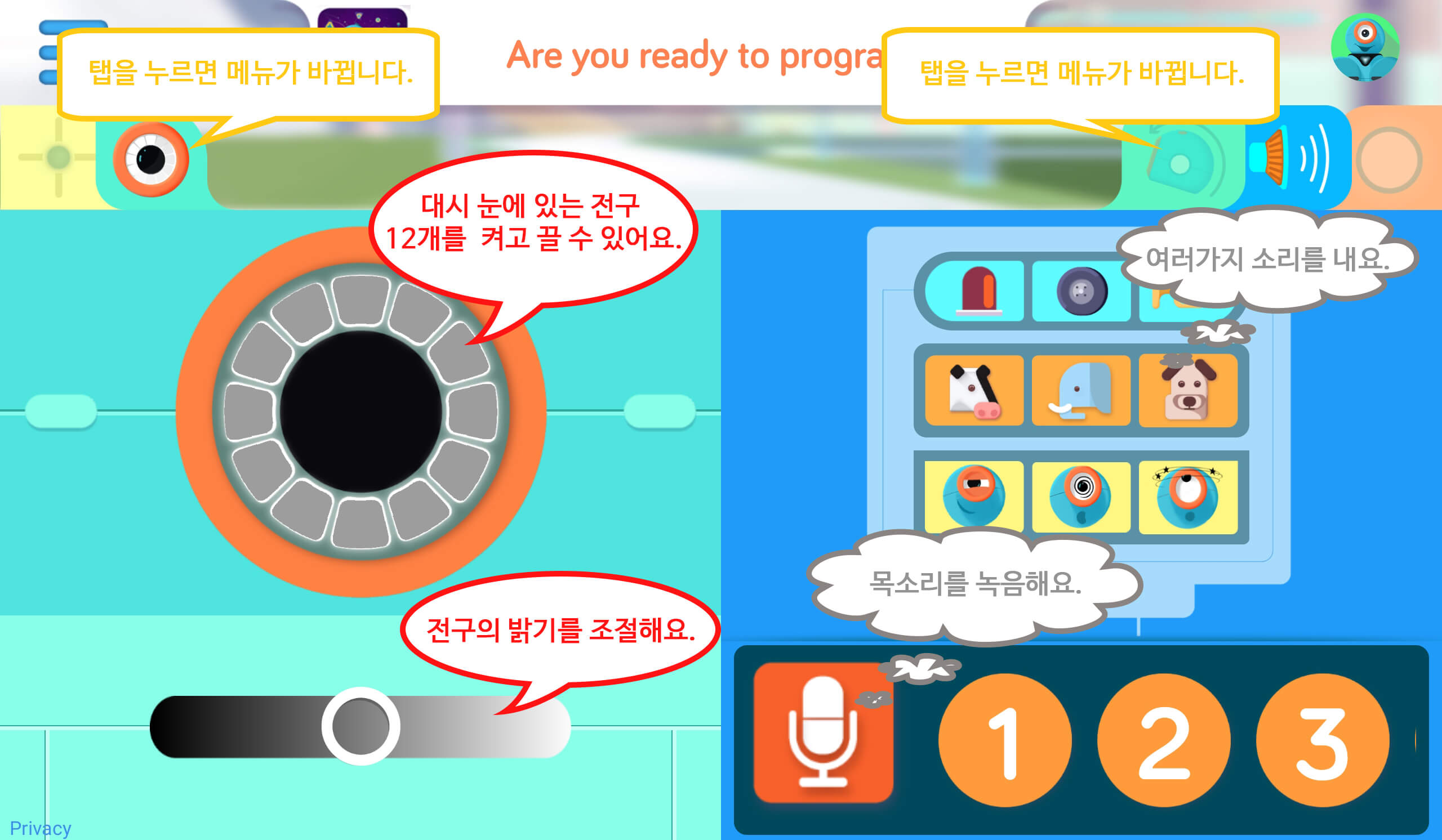 앱 화면 도움말