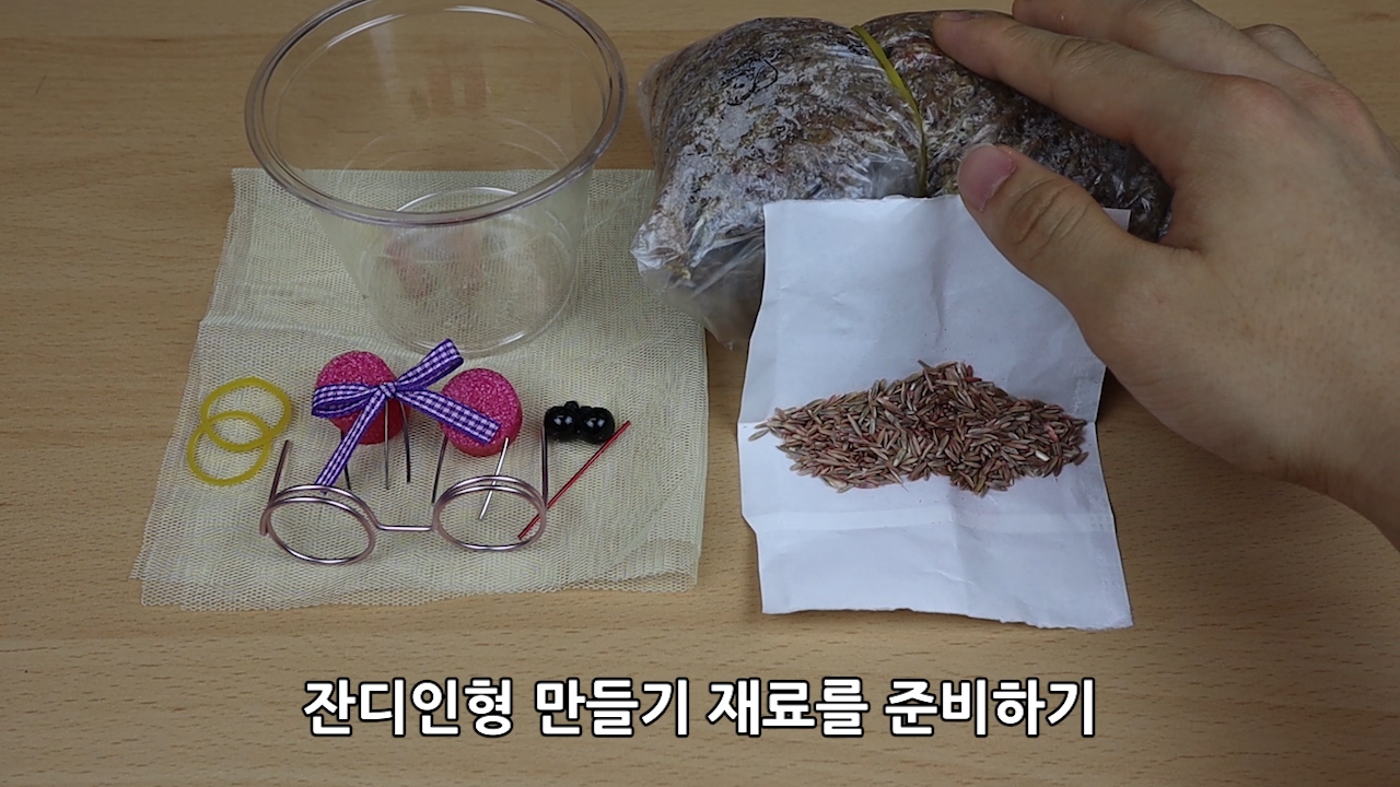 이미지. 잔디인형 만드는 방법 동영상의 스크린샷