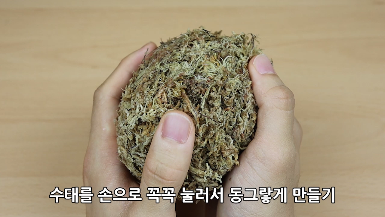 이미지. 잔디인형 만드는 순서(7단계)의 스크린샷
