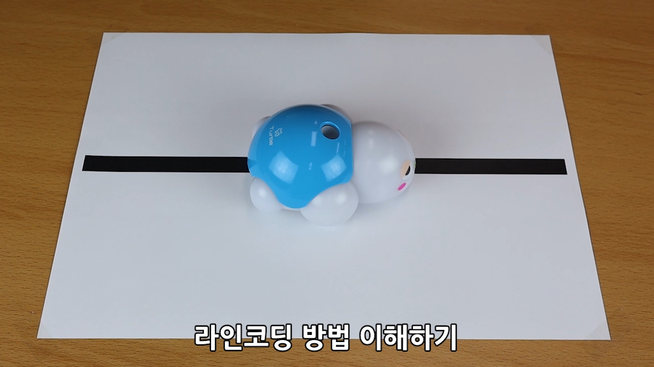 이미지. 카멜레온 악기 모드 동영상의 스크린샷