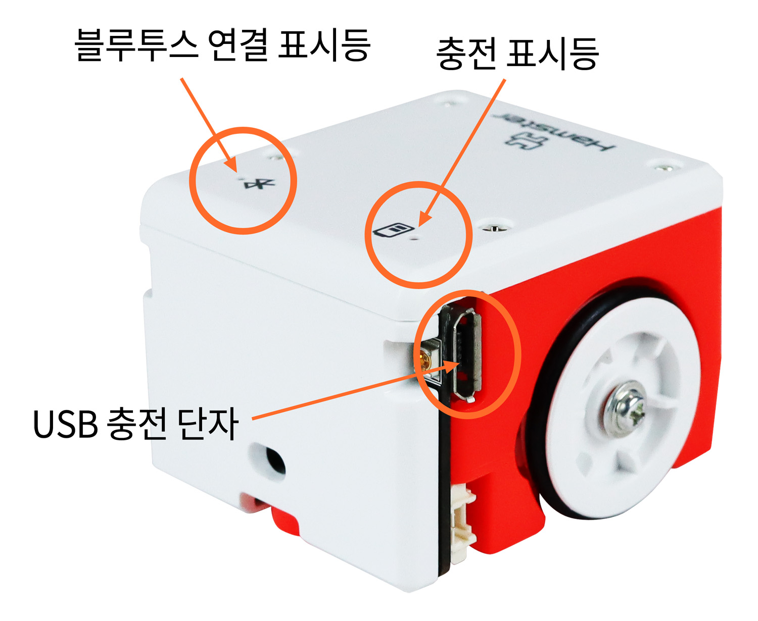 이미지. 햄스터 로봇의 블루투스 연결 표시등, 충전 표시등, USB 충전 단자를 화살표로 표시한 사진.