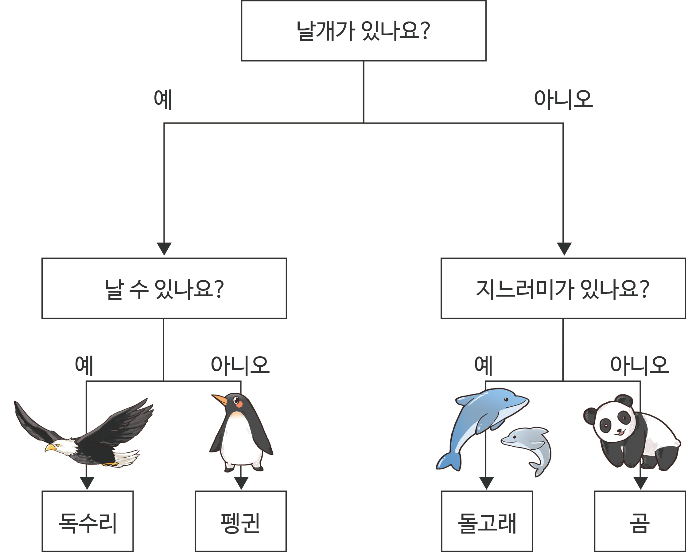 의사결정트리표. 날개가 있나요? (예)있다면 날 수 있나요? (예)있다면 독수리, (아니오)없다면 펭귄 / 날개가 있나요? (아니오)없다면 지느러미가 있나요? (예)있다면 돌고래, (아니오)없다면 팬더