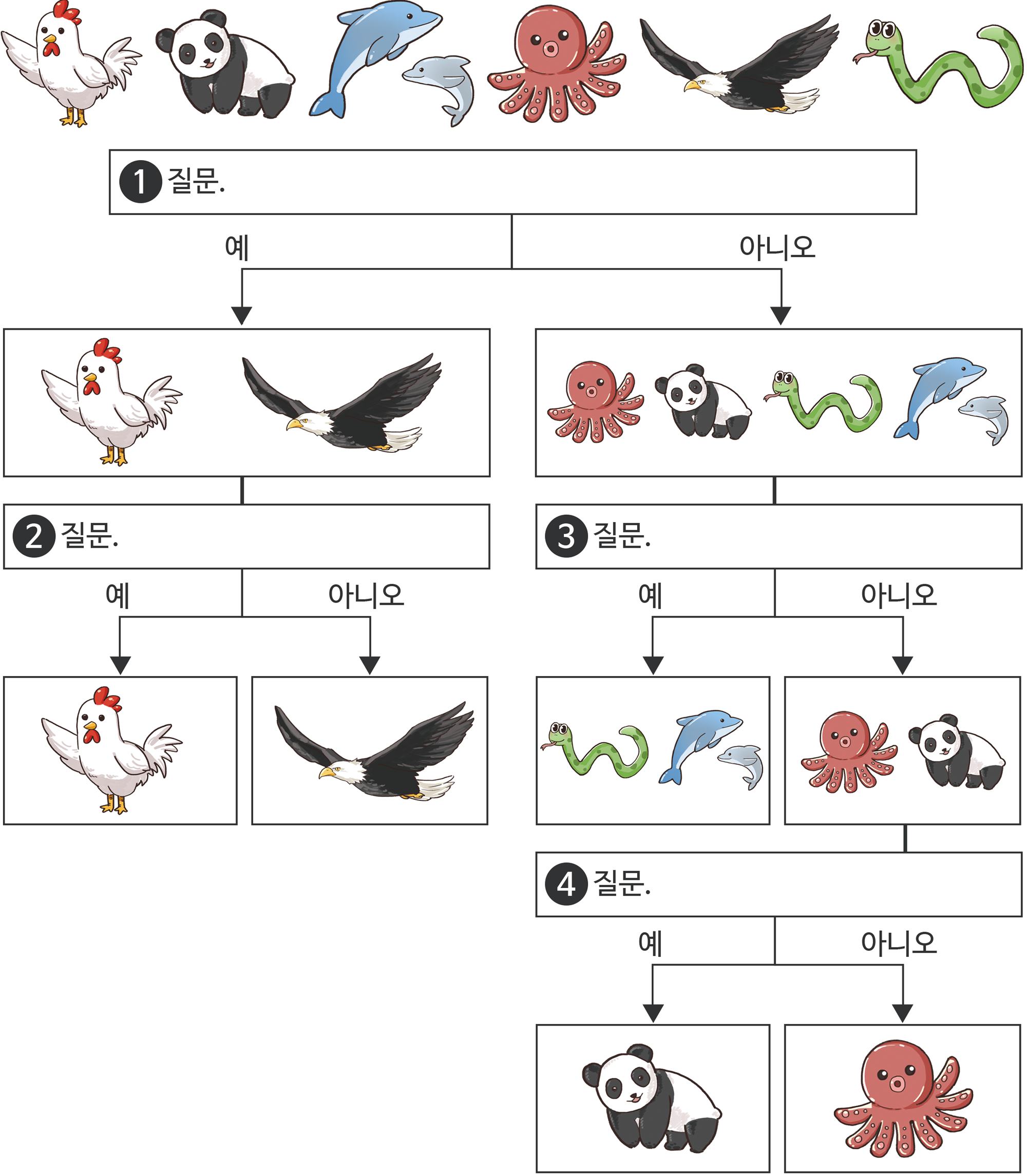 닭, 팬더, 돌고래, 문어, 독수리, 뱀이 배치된 의사결정트리표. 질문1 = (예)맞는 경우- 닭, 독수리 -> 질문2 = (예)맞는 경우- 닭, (아니오)틀린 경우- 독수리 / 질문1 = (아니오)틀린경우- 문어, 팬더, 뱀, 돌고래 -> 질문3 = (예)맞는 경우- 뱀, 돌고래, (아니오)틀린 경우- 문어, 팬더 -> 질문4 = (예)맞는 경우- 팬더, (아니오)틀린 경우 문어