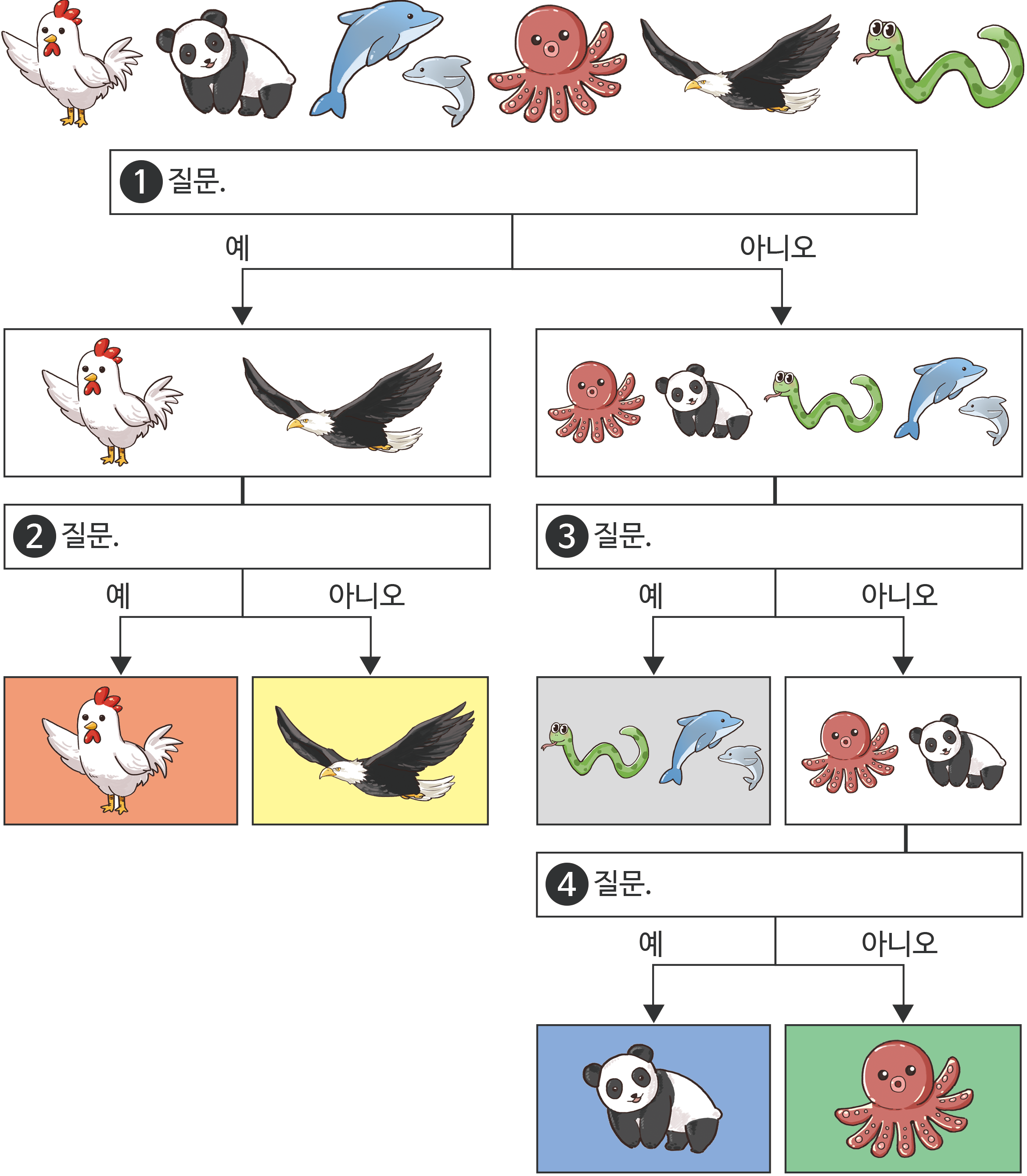 닭, 팬더, 돌고래, 문어, 독수리, 뱀이 배치된 의사결정트리표. 질문1 = (예)맞는 경우- 닭, 독수리 -> 질문2 = (예)맞는 경우(주황색)- 닭, (아니오)틀린 경우(노란색)- 독수리 / 질문1 = (아니오)틀린경우- 문어, 팬더, 뱀, 돌고래 -> 질문3 = (예)맞는 경우(회색)- 뱀, 돌고래, (아니오)틀린 경우- 문어, 팬더 -> 질문4 = (예)맞는 경우(파란색)- 팬더, (아니오)틀린 경우(초록색)- 문어