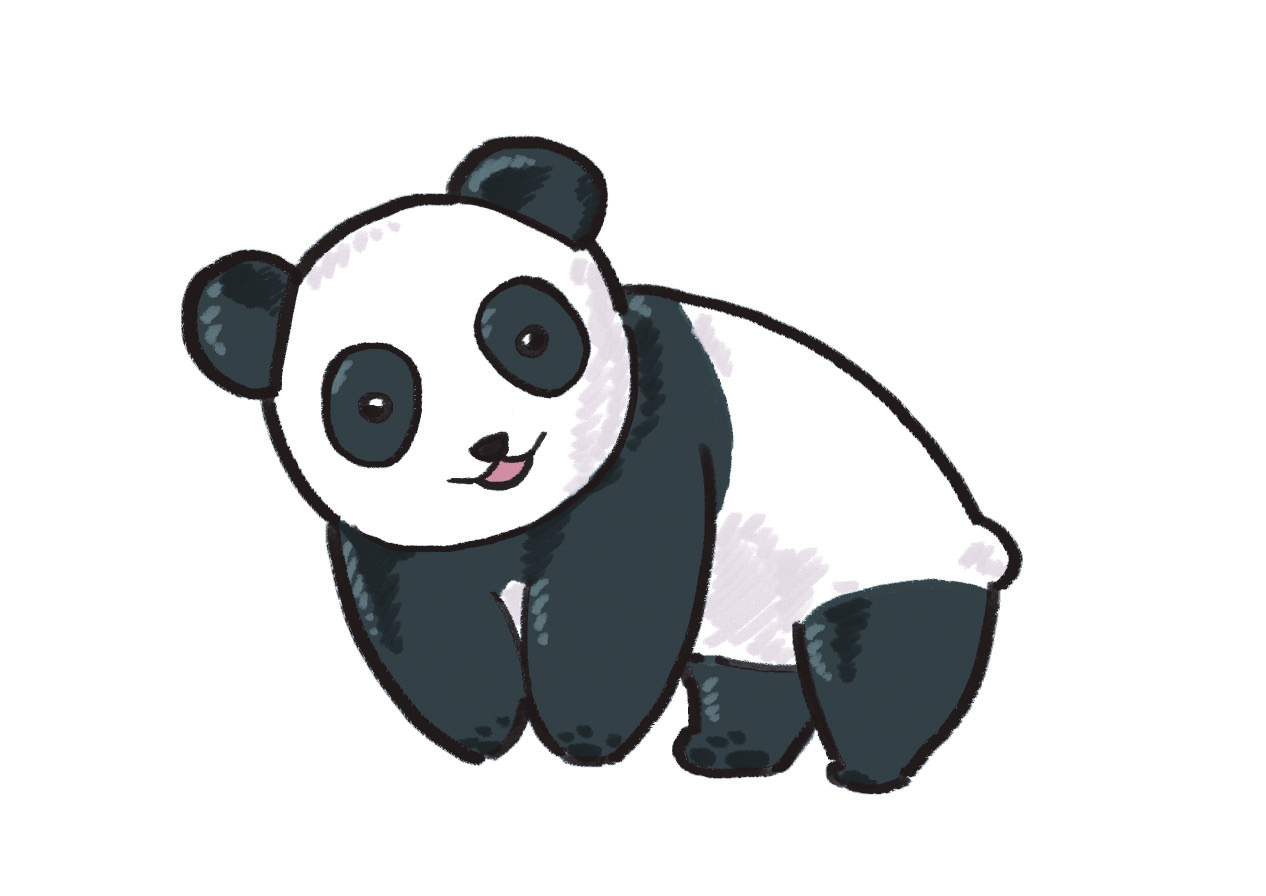 팬더