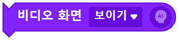 비디오 화면 보이기 블록