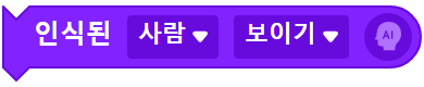 인식된 사람 보이기 블록