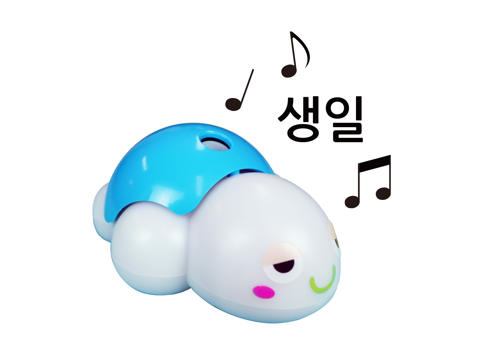 거북이 생일 소리