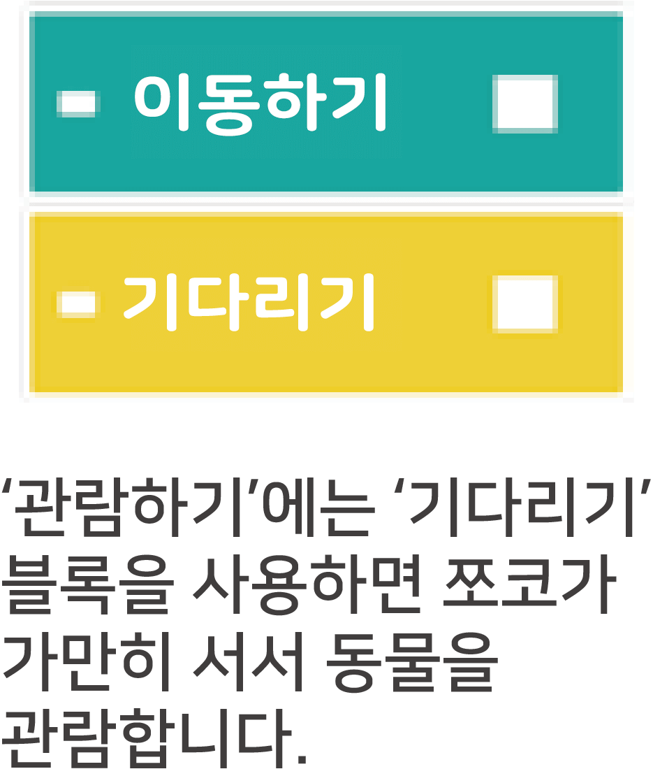 이동하기 블록, 기다리기 블록. '관람하기'에는 '기다리기' 블록을 사용하면 쪼코가 가만히 서서 동물을 관람합니다.