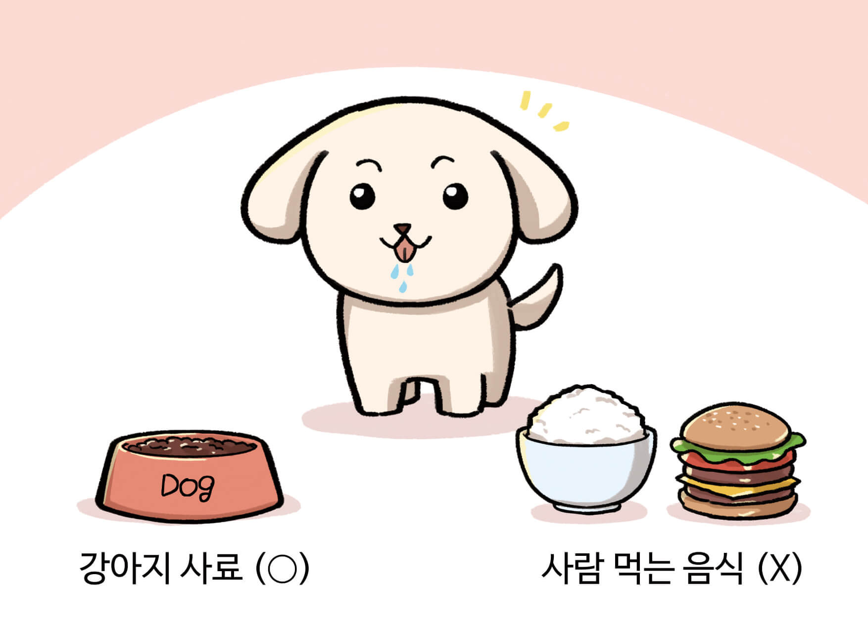 강아지가 먹이를 앞에 있는 모습