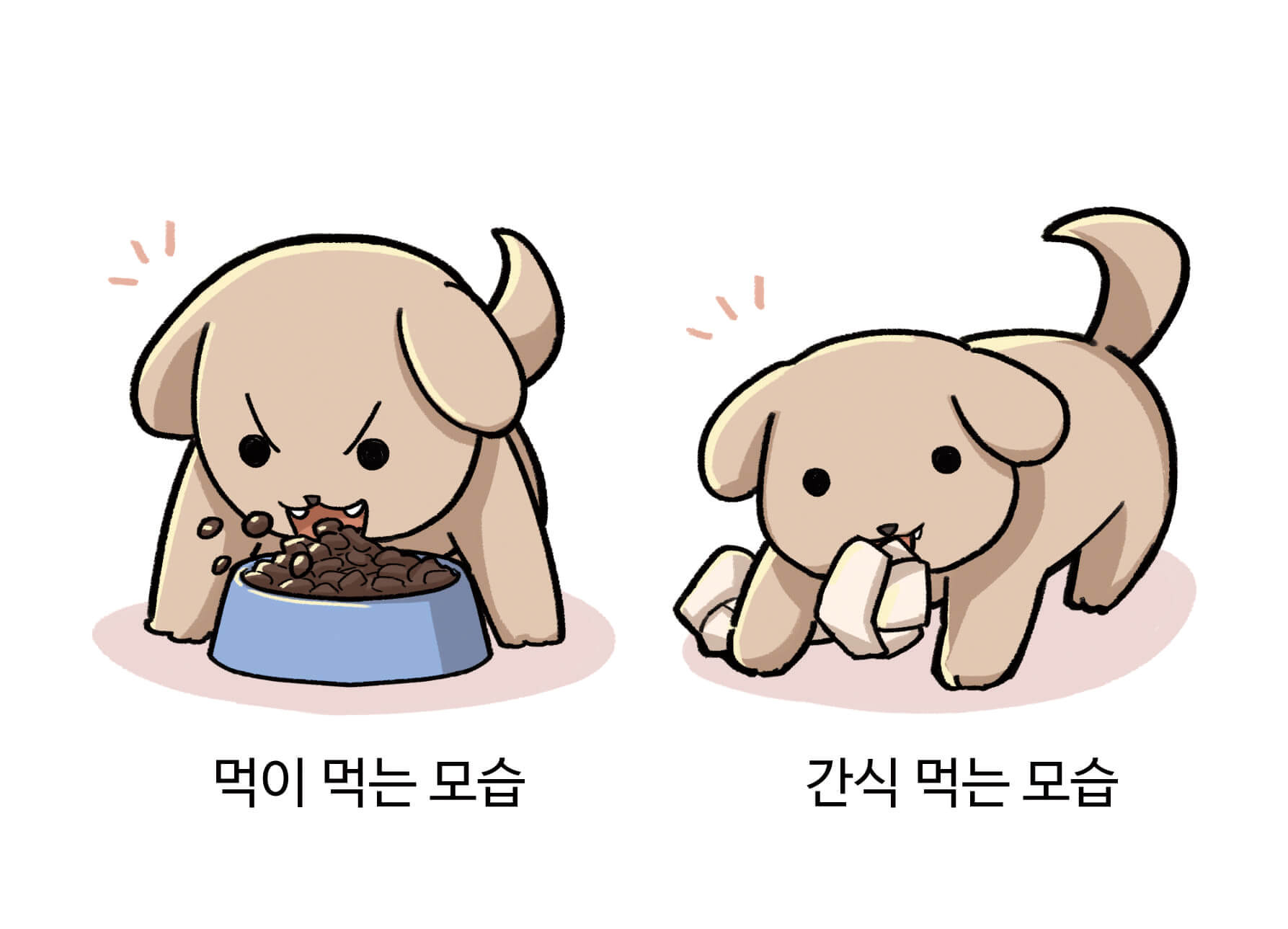 전용 사료와 간식 먹이는 모습  삽화
