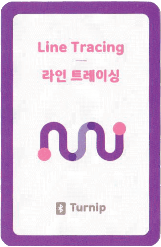 라인트레이싱 카드