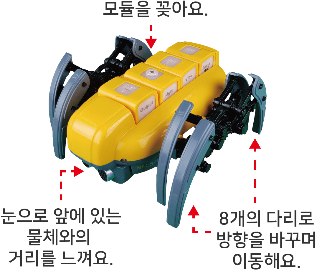 네오스파이더를 바르게 놓은 모습