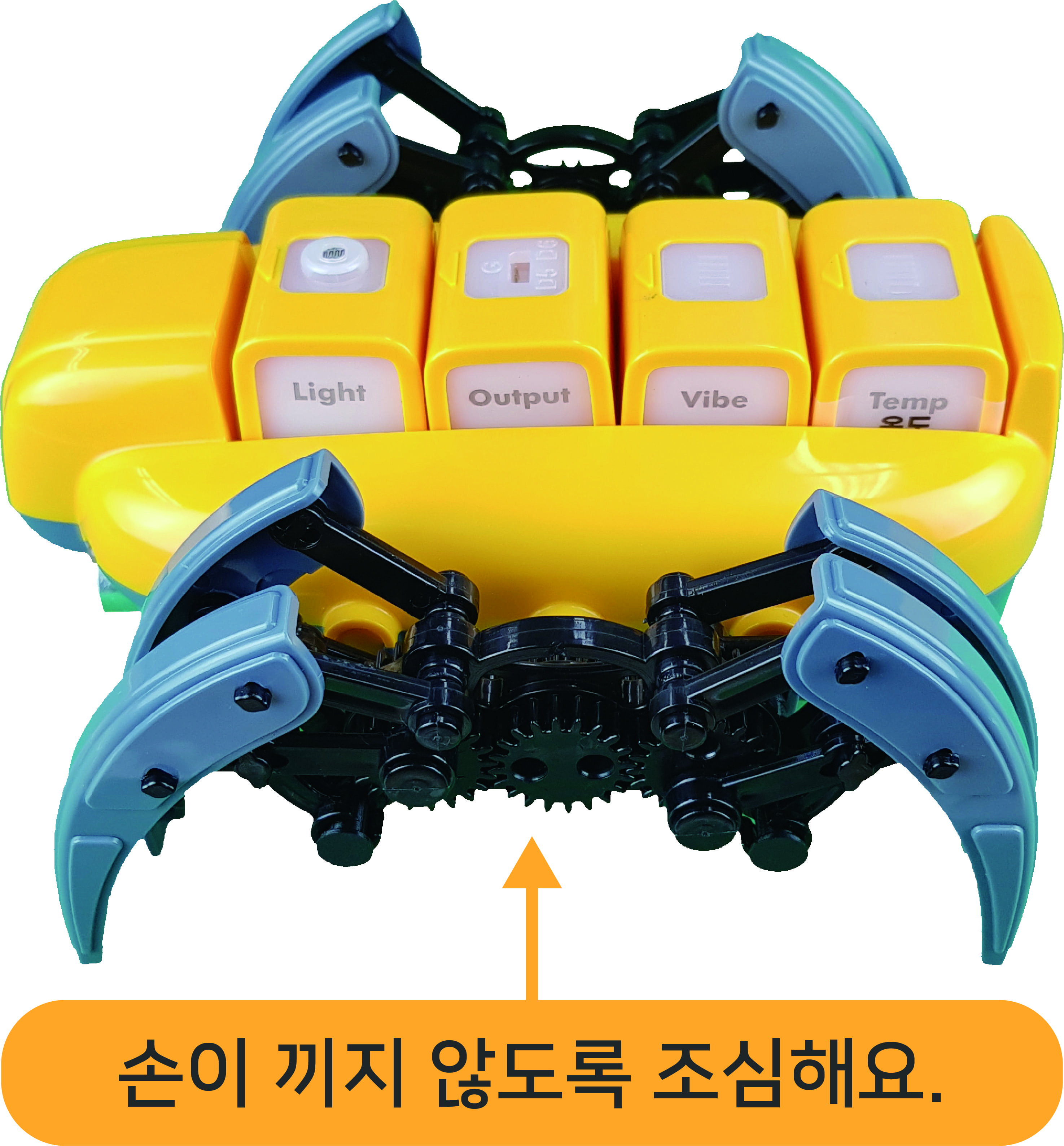 거미 다리 사이에 손이 끼지 않도록 주의해서 만져요.