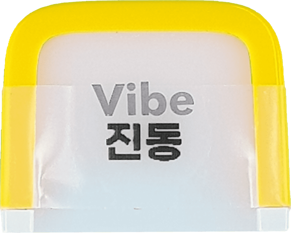 진동 모듈