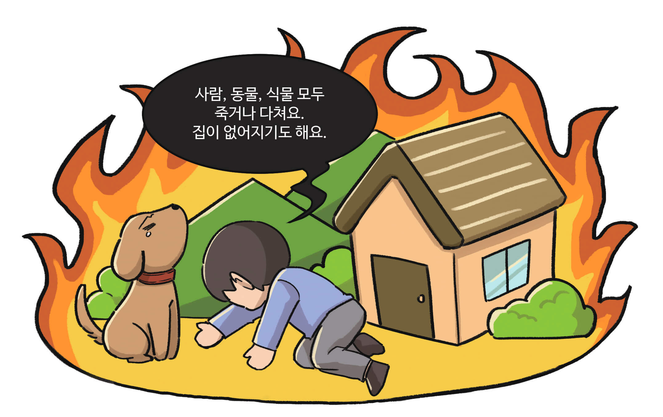 사람,동물,식물 모두 죽거나 다쳐요. 집이 없어지기도 해요.