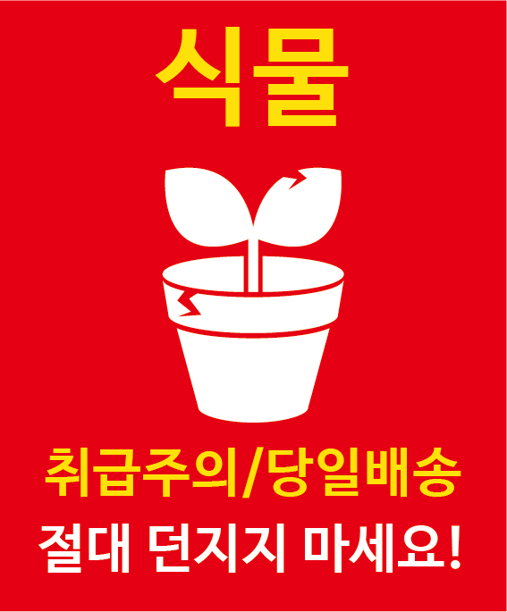식물