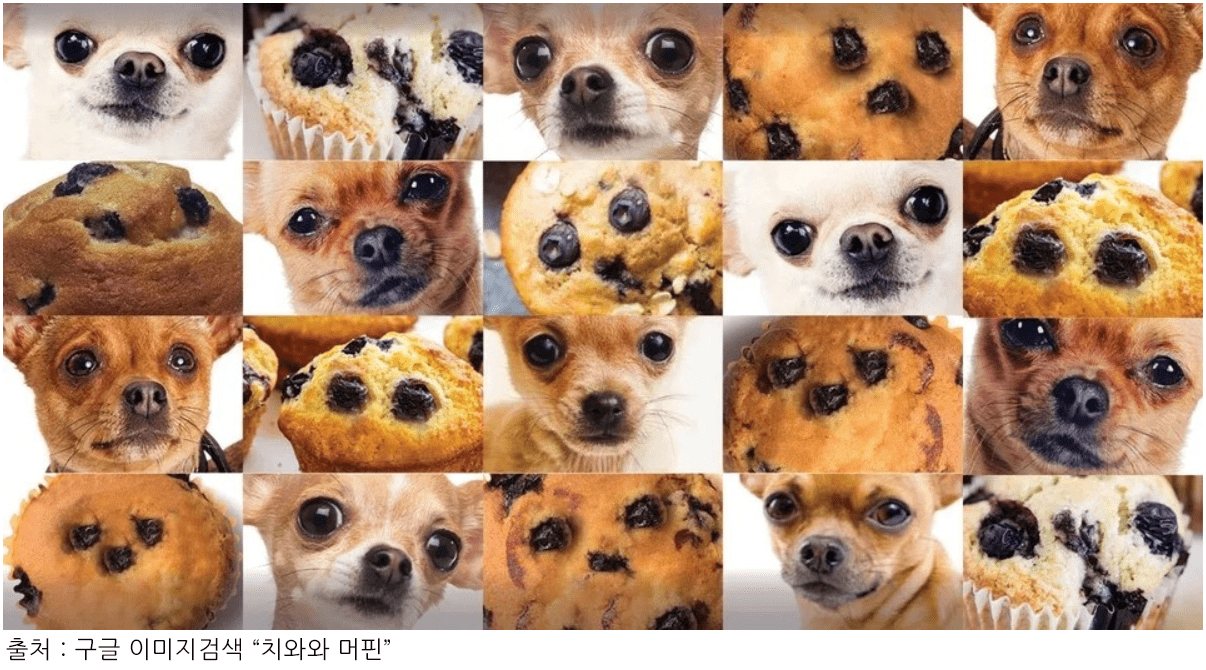 강아지와 머핀 사진들