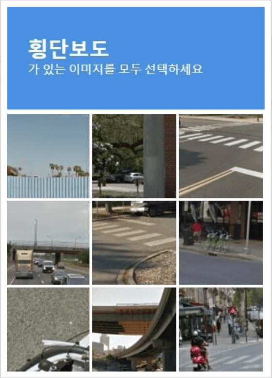 횡단보도 이미지 찾기 사진