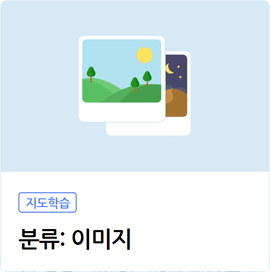 분류 이미지