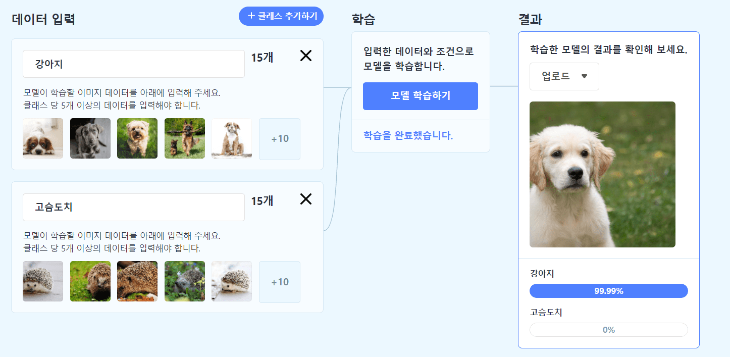 동물 사진 분류 과정