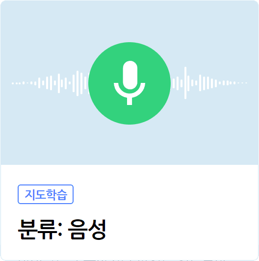 분류 음성